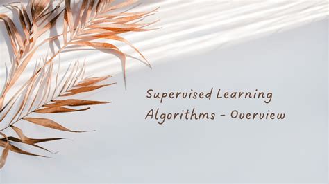Image result for Top Known Algorithms in Supervised Learning