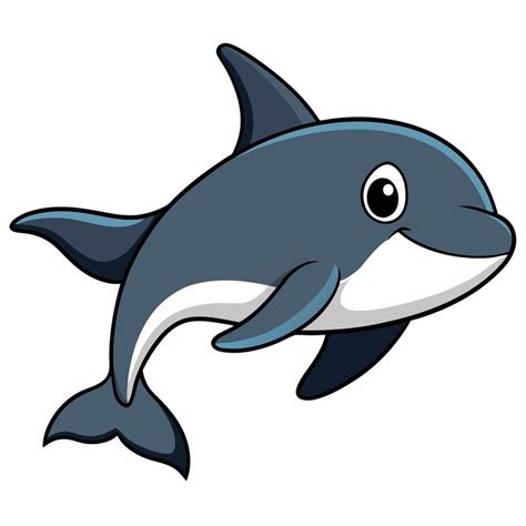 Cetaceans vector illustration cetaceans cartoon clipart animal in flat ...