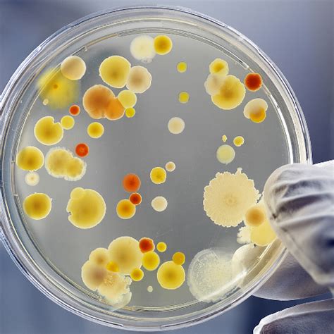 Matoshree Pathology Lab