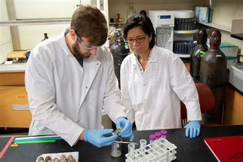 UB ranks among nation’s top 60 universities for R&D - University at Buffalo