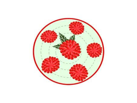 Image result for Conversion Rate Visualization