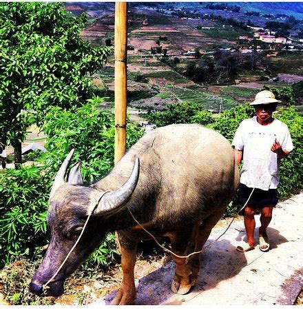 Sapa Chai Adventure Tours - All You Need to Know BEFORE You Go