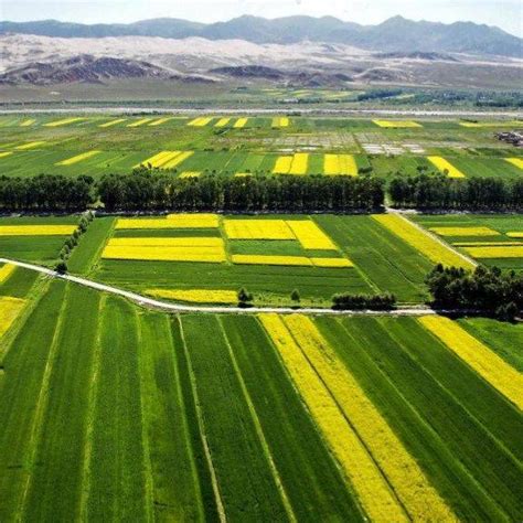 农田 的图像结果