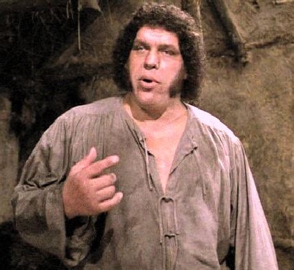 Image result for The Princess Bride Andre