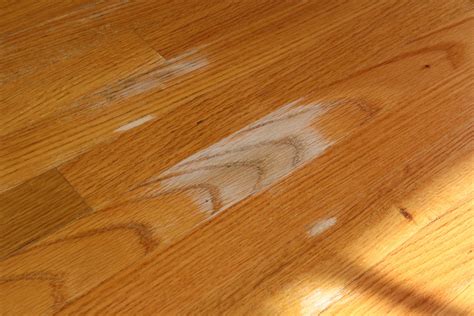 How to Clean Mold From a Wood Floor : 4 Steps - Instructables