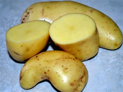 Papa Amarilla Características, Diferencias, Usos En La, 49% OFF