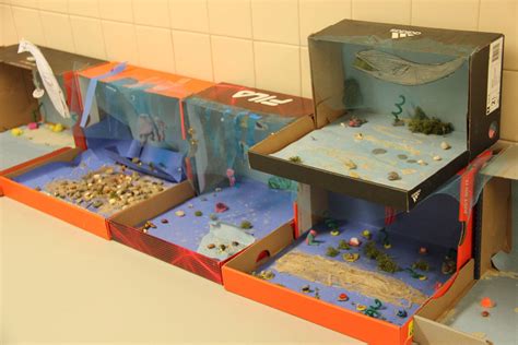 Shoebox Habitat Projects