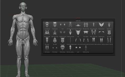 3D建模作品|三维|人物/生物|Totsugeki - 原创作品 - 站酷 (ZCOOL)