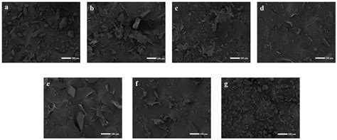 Encapsulation of Clofazimine by Cyclodextran: Preparation ...