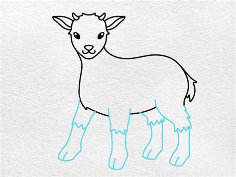 How To Draw A Goat Step By Step For Kids