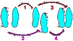 Image result for Disco Steps Lesson for Beginner