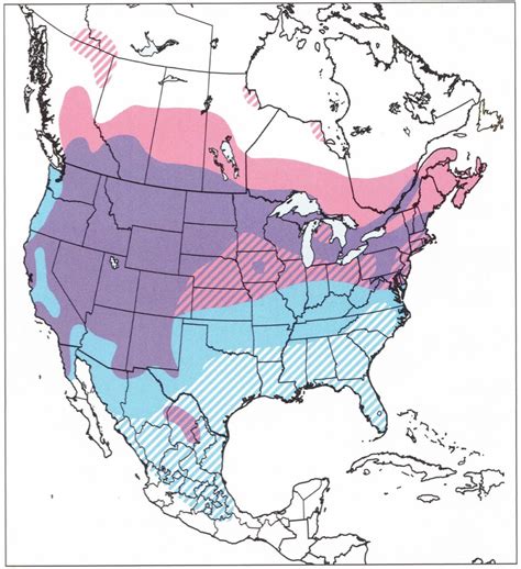 All 14 Owls in Oregon [With Sounds & Pictures]