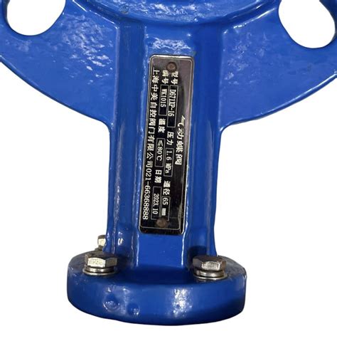 D671XP-16 Butterfly Valve - 4” CF8 Stainless Steel – Ummid Electricals™
