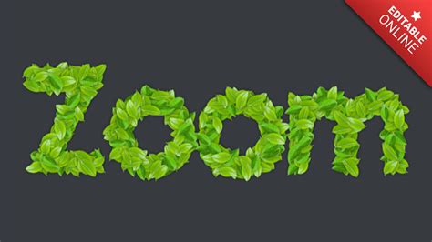 Image result for Text Zoom Tutorial