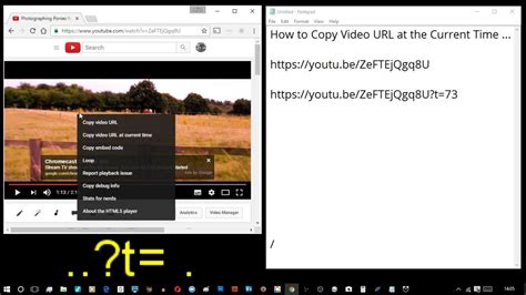 How to Copy Video URL 的图像结果