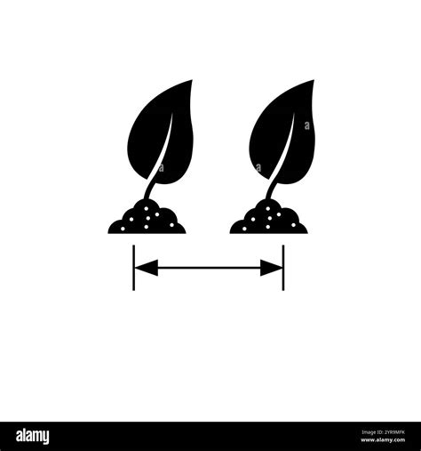 Space Between Plants 的图像结果