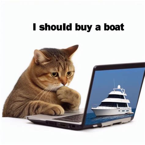 Chat with Bing Meme 的图像结果