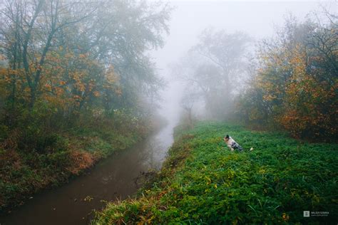 Adventure Landscape 的图像结果