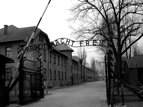 Wieliczka Salt Mine and Auschwitz-Birkenau Day Trip from Krakow ...
