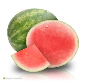 Benih Tembikai Tanpa Biji 6pcs/Seedless Watermelon/无籽西瓜 | Lazada