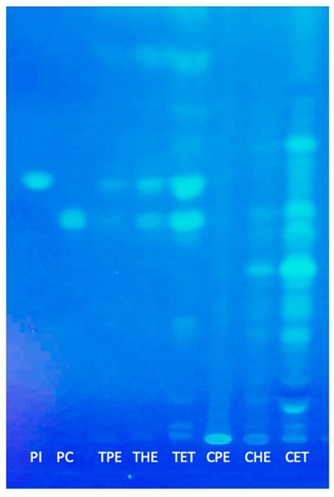 Chemical Characterisation of New Oils Extracted from Cañihua and Tarwi ...