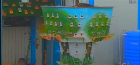 Maharashtra Farmer Creates World's Largest Bird Feeder