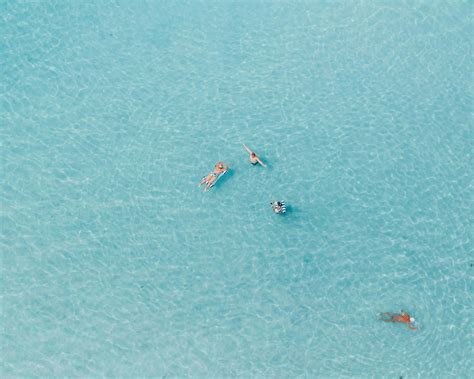 Swimming in Sea 的图像结果