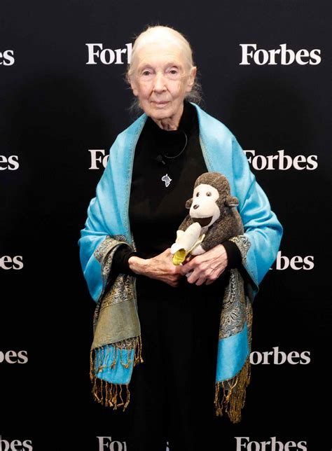 Why Jane Goodall Carried Stuffed Animal Mr. H Everywhere Before Her Death
