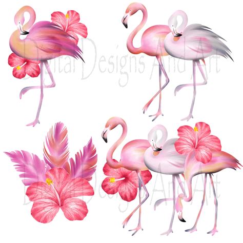 Pink flamingo clipart
