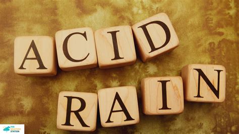 How Does Acid Rain Affect Both Living And Non Living Things at Isabella Leake blog