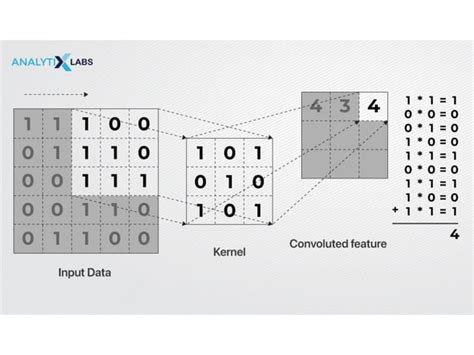 Image result for CNN Example Maths