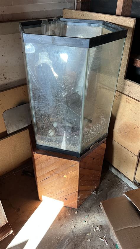 Hexagon Fish Tank With Stand for Sale in San Diego, CA - OfferUp