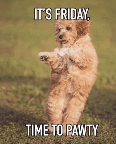 Finally Friday Meme - Finally friday - Discover & Share GIFs