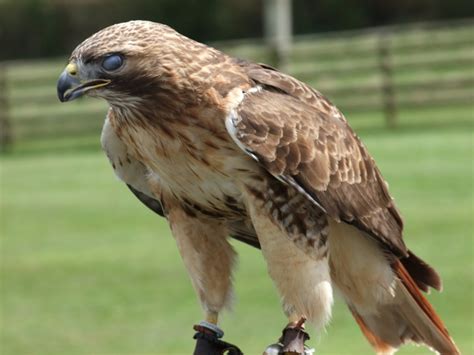 Image result for Basic Computer Class Part 2