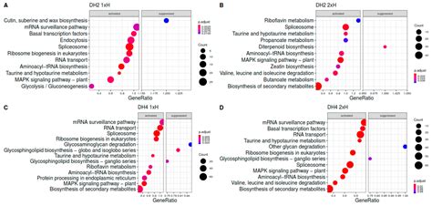 Long-Term Waterlogging as Factor Contributing to Hypoxia Stress ...