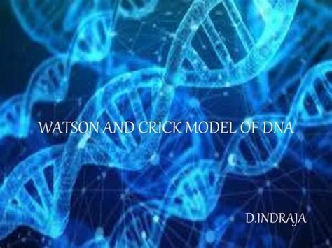 DNA Modell 的图像结果
