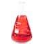 Cole-Parmer Glass Erlenmeyer Flasks, Graduated, Heavy Rim, 6000 mL (203 ...