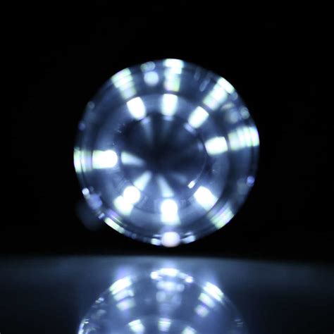 Microscope 1000X Magnification 的图像结果