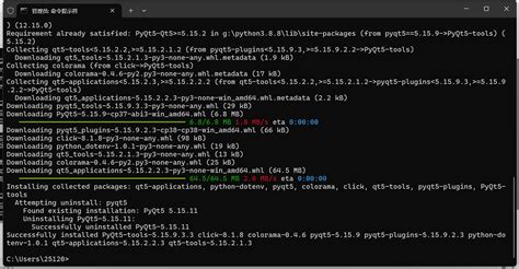 Image result for PyQt5 Tools Download Error