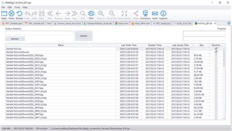 Image result for File Magic Review