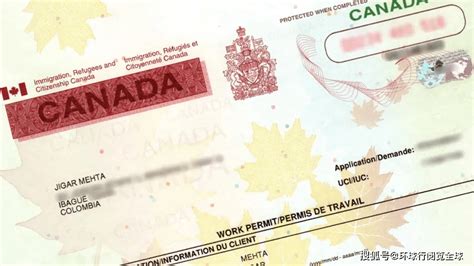 普通人怎么申请加拿大签证？详细加拿大签证申请攻略_申请人_旅行_信息