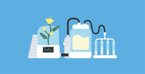 Extraction Lab 的图像结果