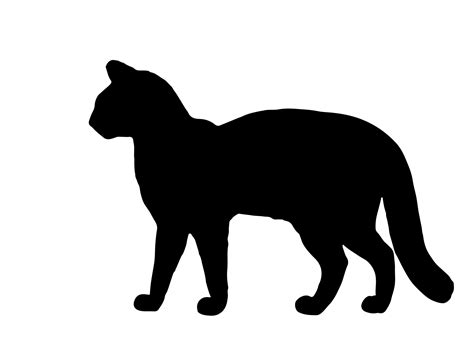 Black Cat Silhouette Clipart Free Stock Photo - Public Domain Pictures