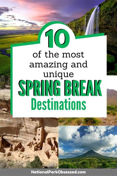 Spring Brain Break Destinations 的图像结果