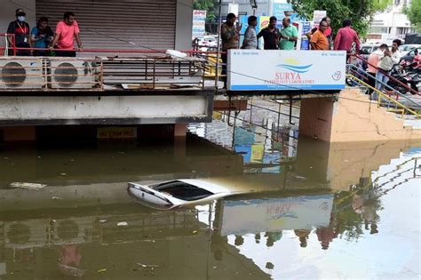 Scary Video Shows Several Cattle Washed Away In Valsad As Gujarat Reels ...