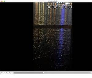 Image result for Chimpchamp How to Go Frame by Frame