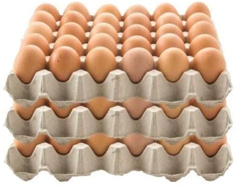 Grey Paper Pulp Egg Tray Manufacturer, Supplier from Sangrur