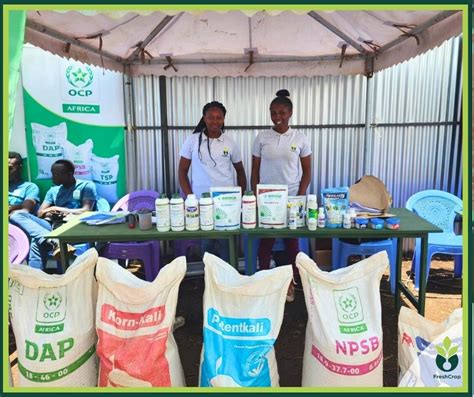 Broadcasting Fertilizer 的图像结果