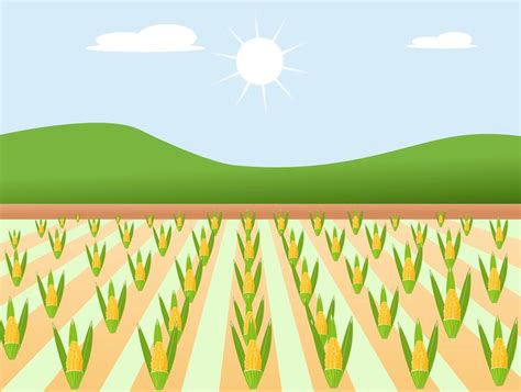 Corn Field Vector 的图像结果