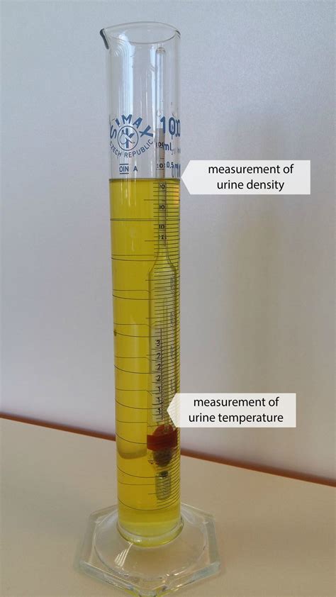 Basics of Nursing Practices and Interventions | Faculty of Medicine ...